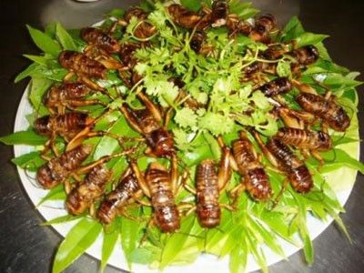 Ăn côn trùng ở Hà Nội - bạn có dám thử không? - ảnh 3